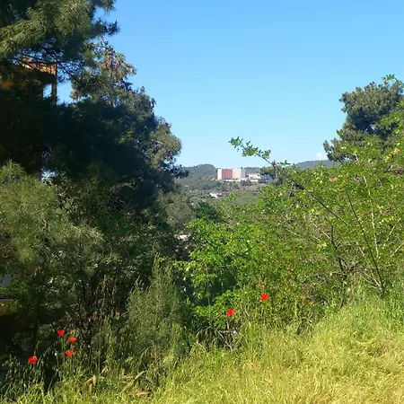 Sofia's Kavala