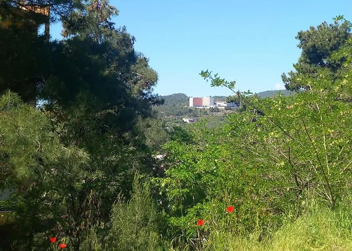 Sofia's Kavala